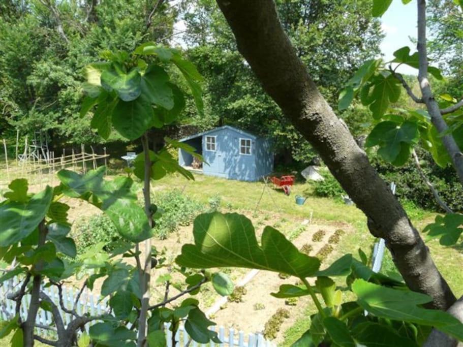 Gite De Charme 80 M², Piscine, Proche D'Uzes. Vezenobres Exterior foto